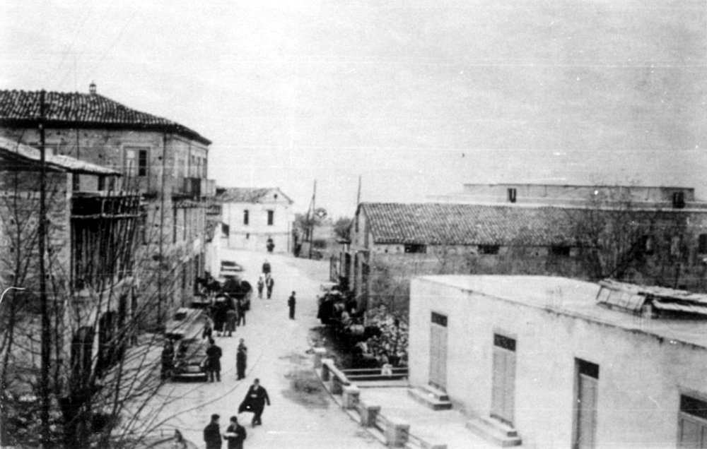 Via Castriota in S. Demetrio Corone.