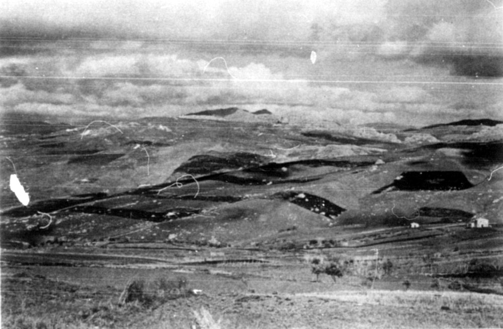 Grain cultivation near Piana degli Albanesi.